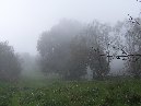 Contrada_Ilice - Monte_Ilice_nebbia_2.jpg