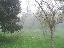 ntrada Ilice-Monte Ilice nebbia 3