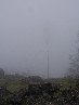 ntrada Ilice-Monte Ilice nebbia 5