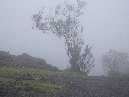 Contrada_Ilice - Monte_Ilice_nebbia_6.jpg