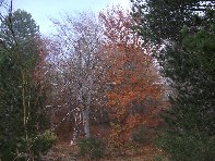Cubania - 201011107%20141.jpg