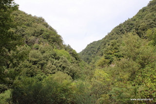 Cugno di Mezzo