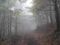 Giarrita - 20101024%20029.jpg