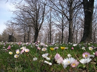 Giarrita - 20110423%20008.jpg