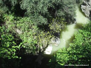 Numero visite mese Maggio: 68