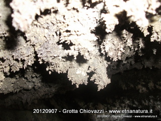 otta Chiovazzi-20120908-066