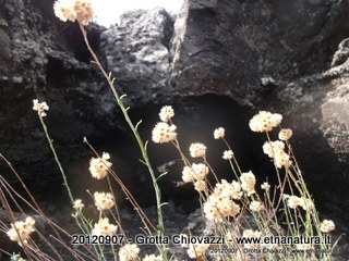 otta Chiovazzi-20120908-080