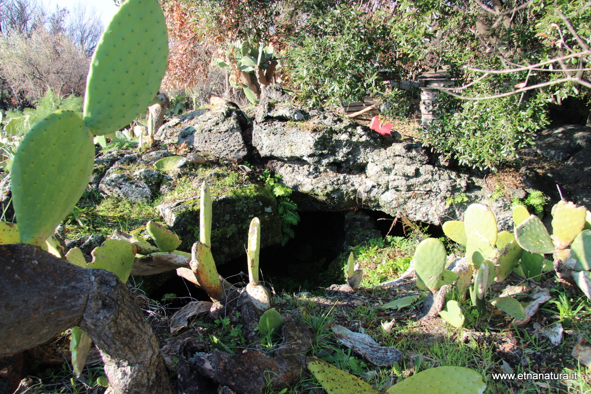 Grotta Di Salvo-Numero visite:1464