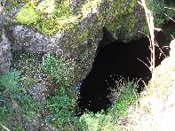 Grotta Forcato: 10295 visite da Giugno 2018