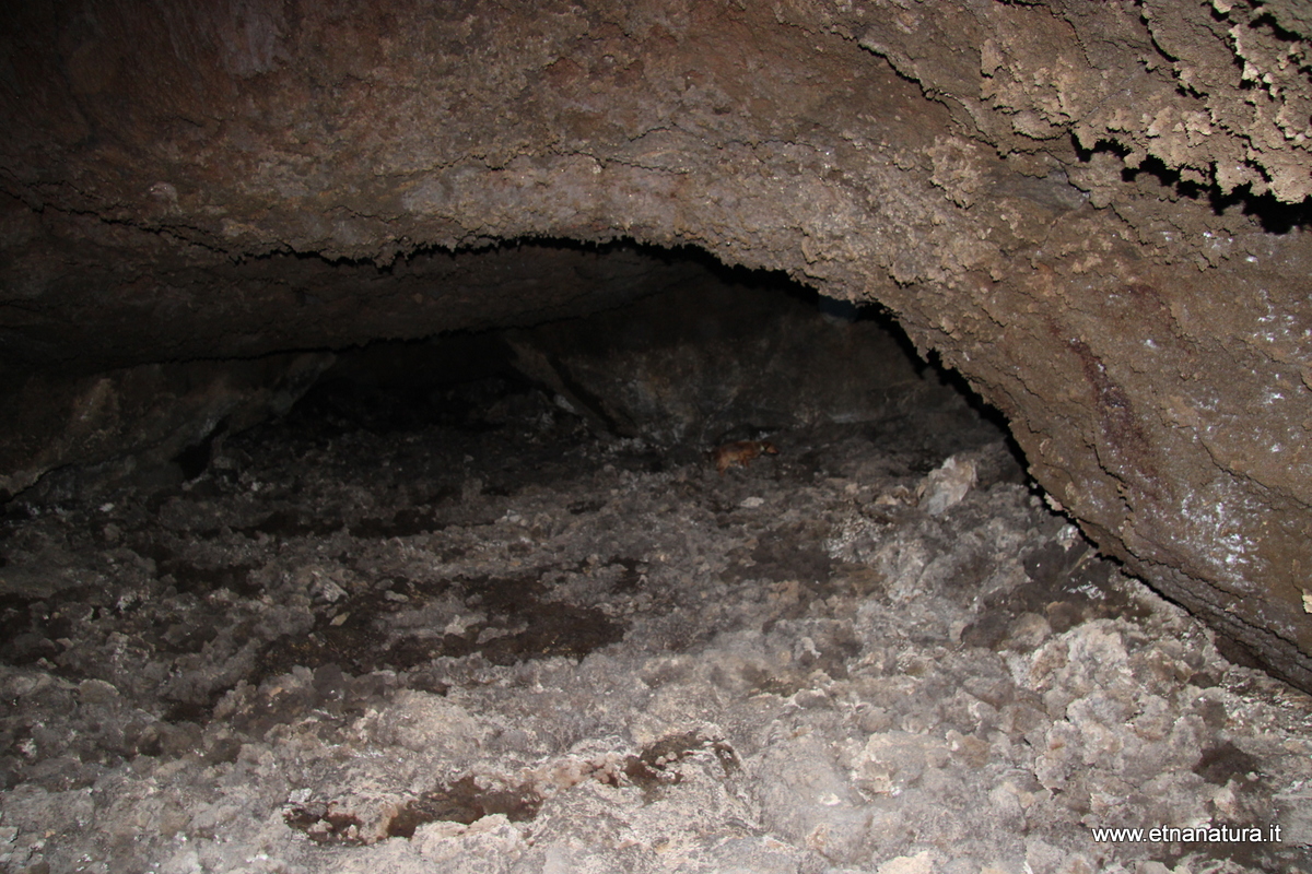 Grotta Nonna Syria