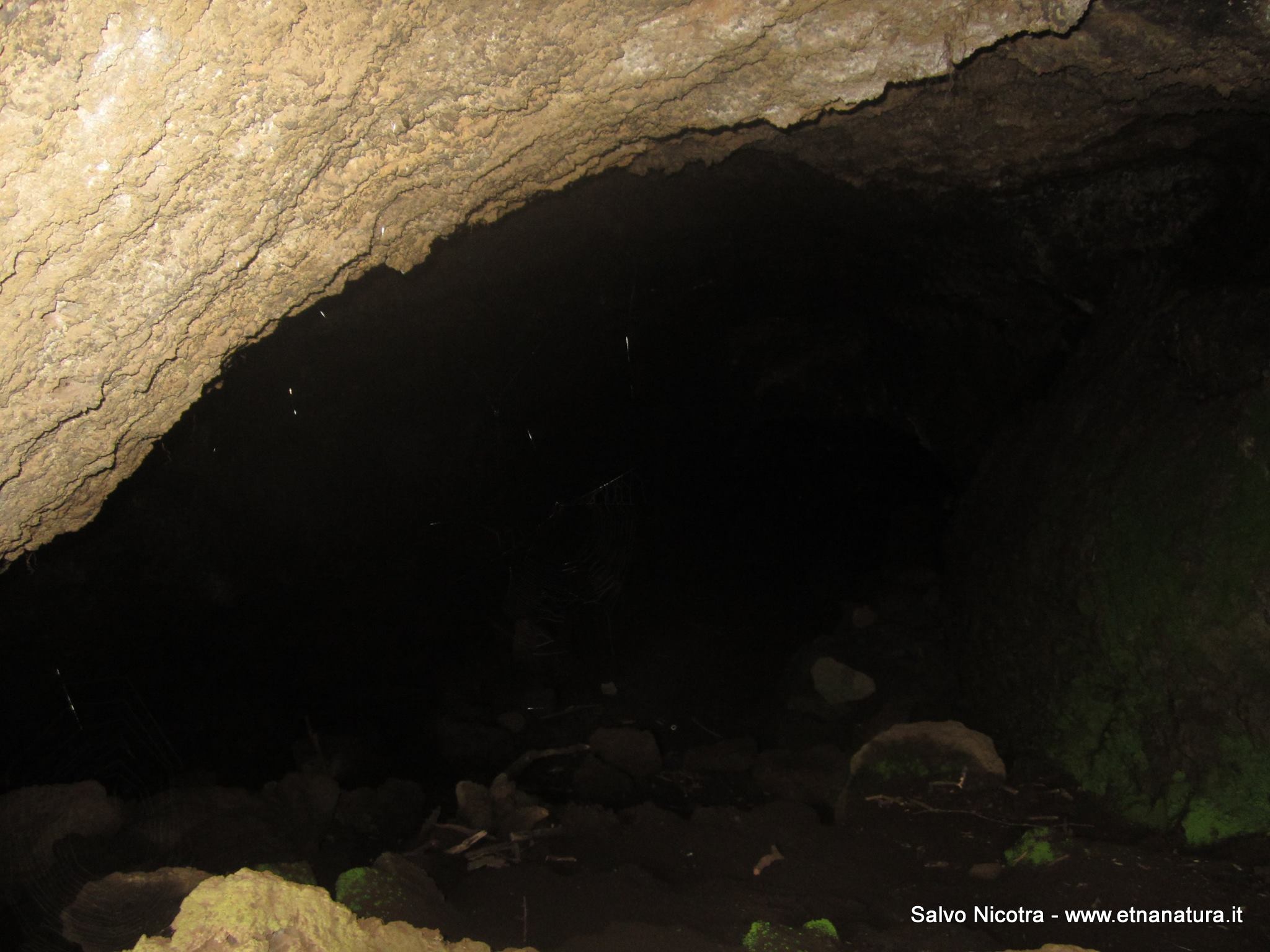 Grotta Piano Cavoli-Numero visite:32526