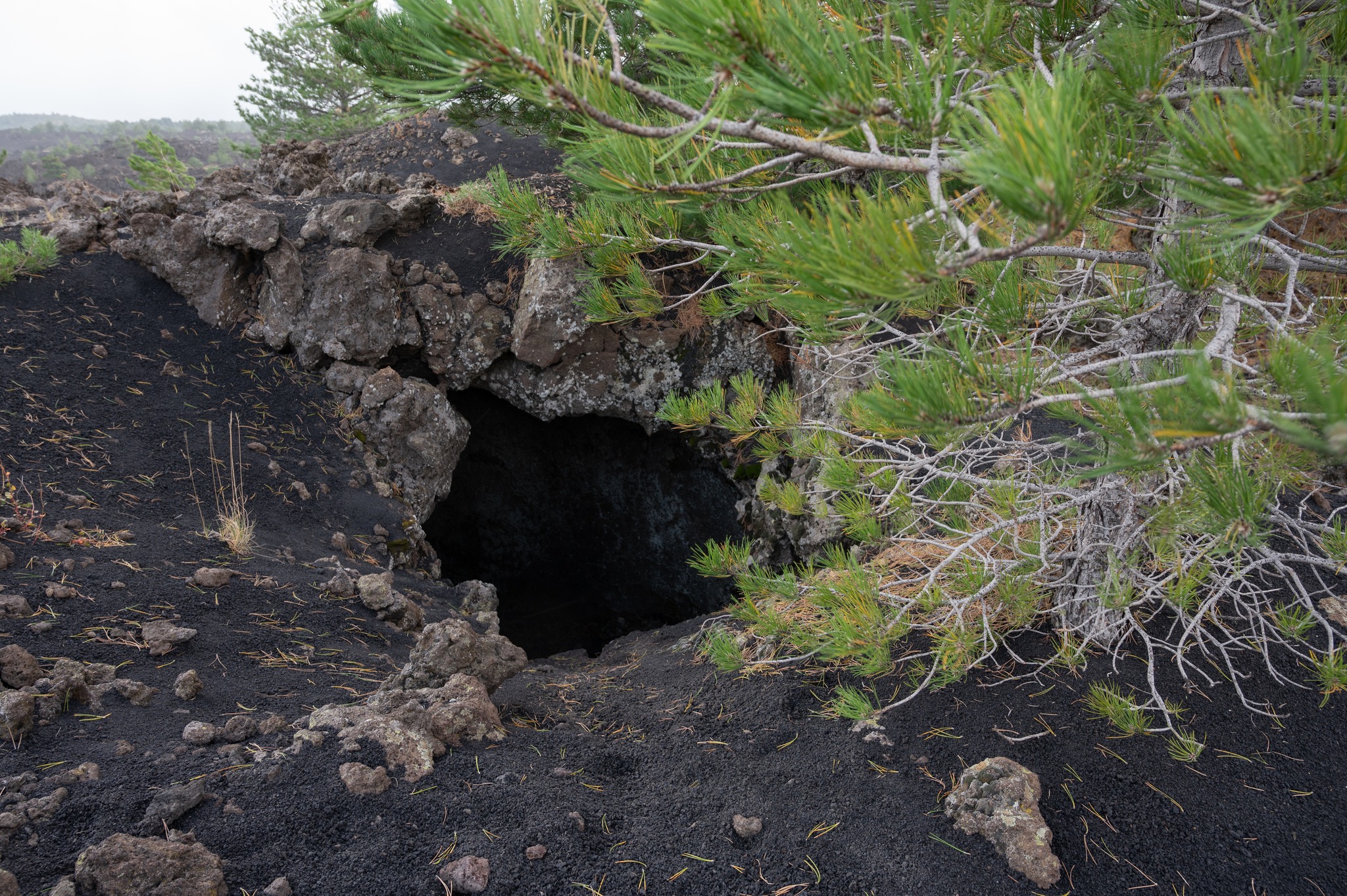 Grotta Uccellatore