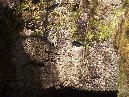 Grotta dei Ladroni