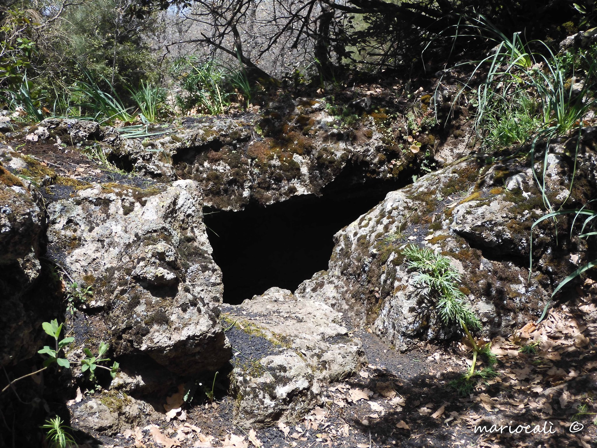 Grotta del Cernaro-Numero visite:867