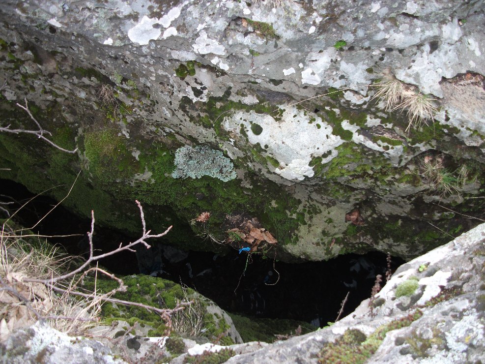 Grotta del Coniglio-Numero visite:32843