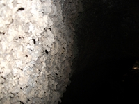 Grotta del Gatto
