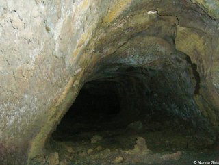 Grotta del Labirinto: 16080 visite da Novembre 2020