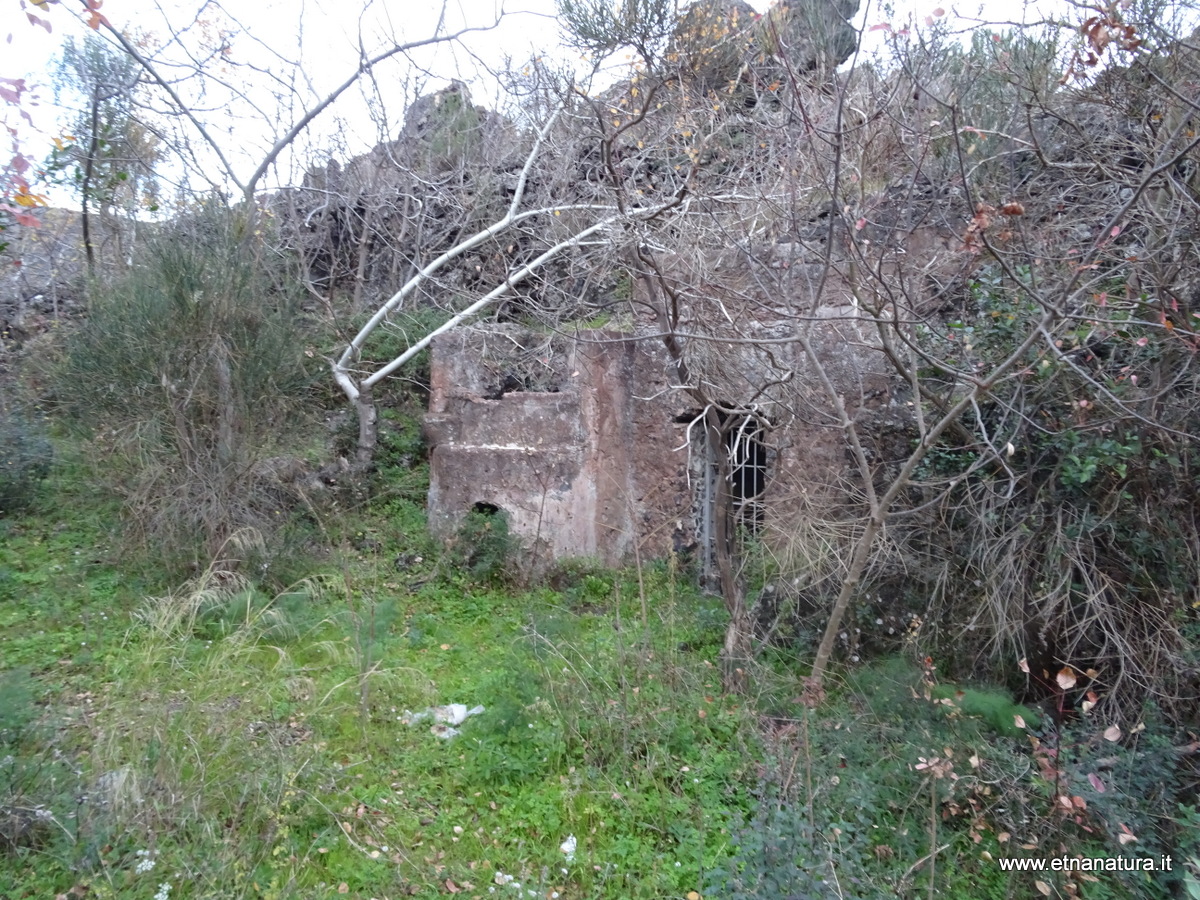 Grotta dell Eremita-Numero visite:33086