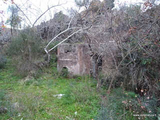 Numero visite oggi: 5