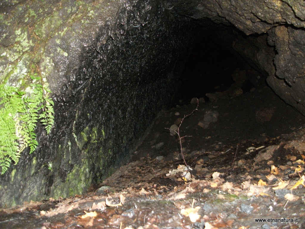 Grotta monte Zappinazzo-Numero visite:32302