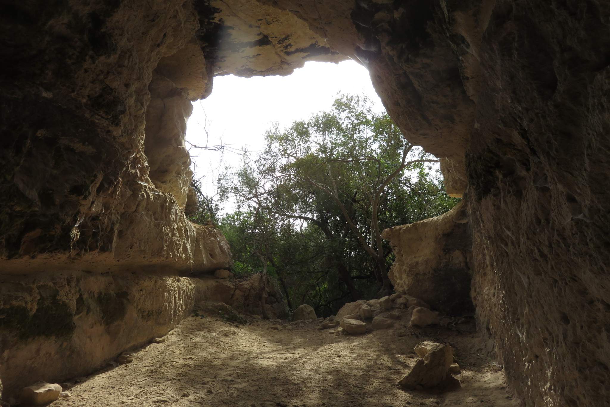 Grotta san Paolo-Numero visite:2812