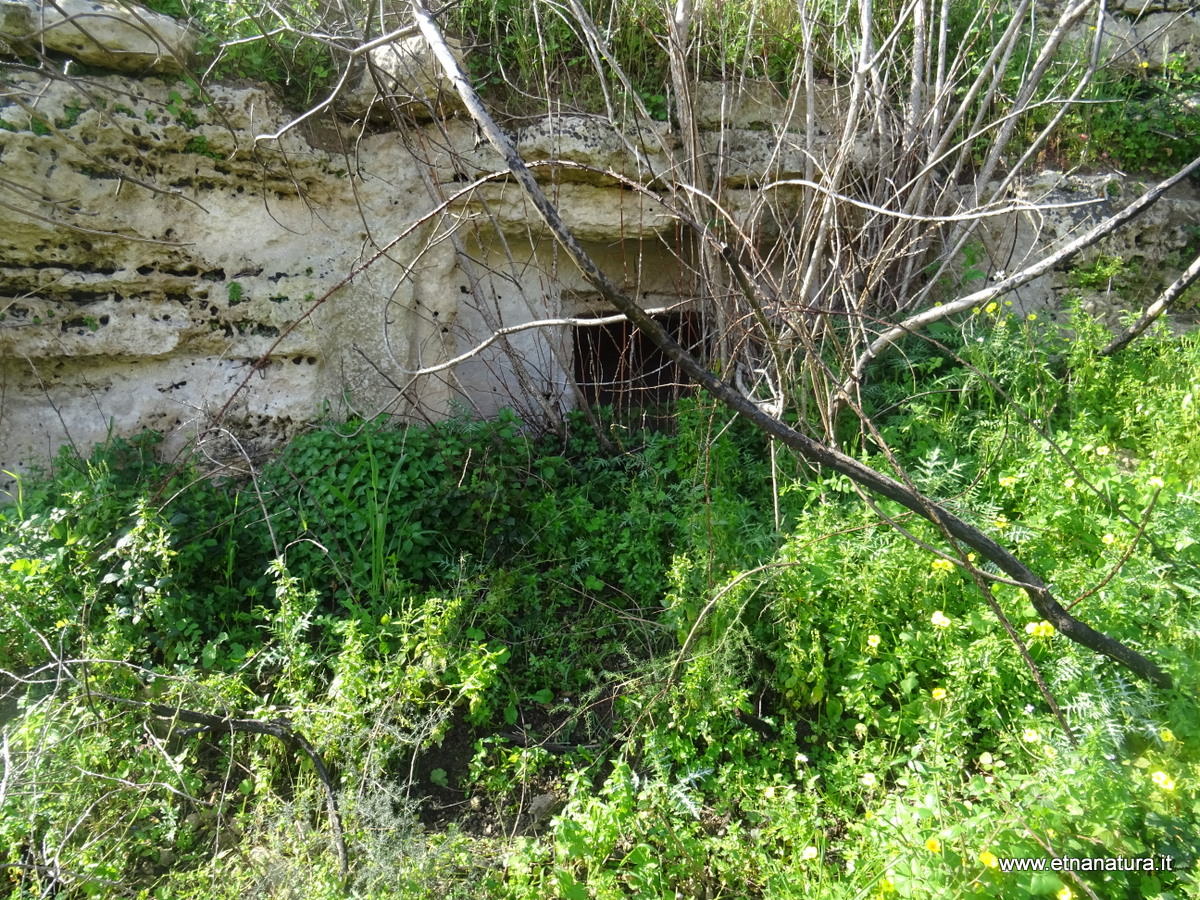 Grotte Castellucciane Ossena-Numero visite:14083