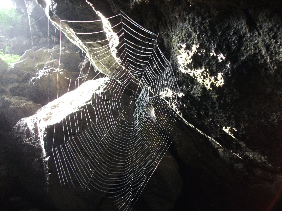 Grotte delle Immacolatelle-Numero visite:30927