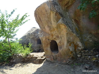 Grottitte di Mojo