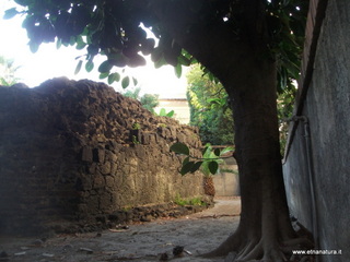 Numero visite mese Maggio: 38
