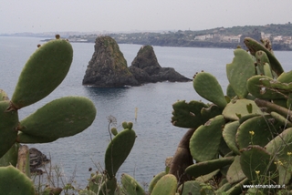 Isole dei Ciclopi