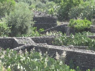 Numero visite mese Maggio: 59