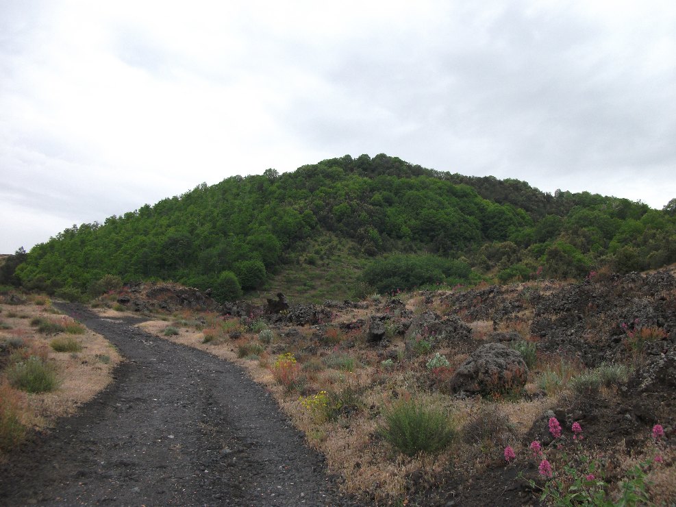 Monte Arcimis-Numero visite:31875