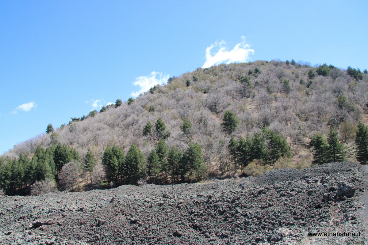 Monte Arso