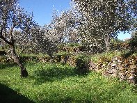 Monte_Ceraulo - 20110317%20007.jpg