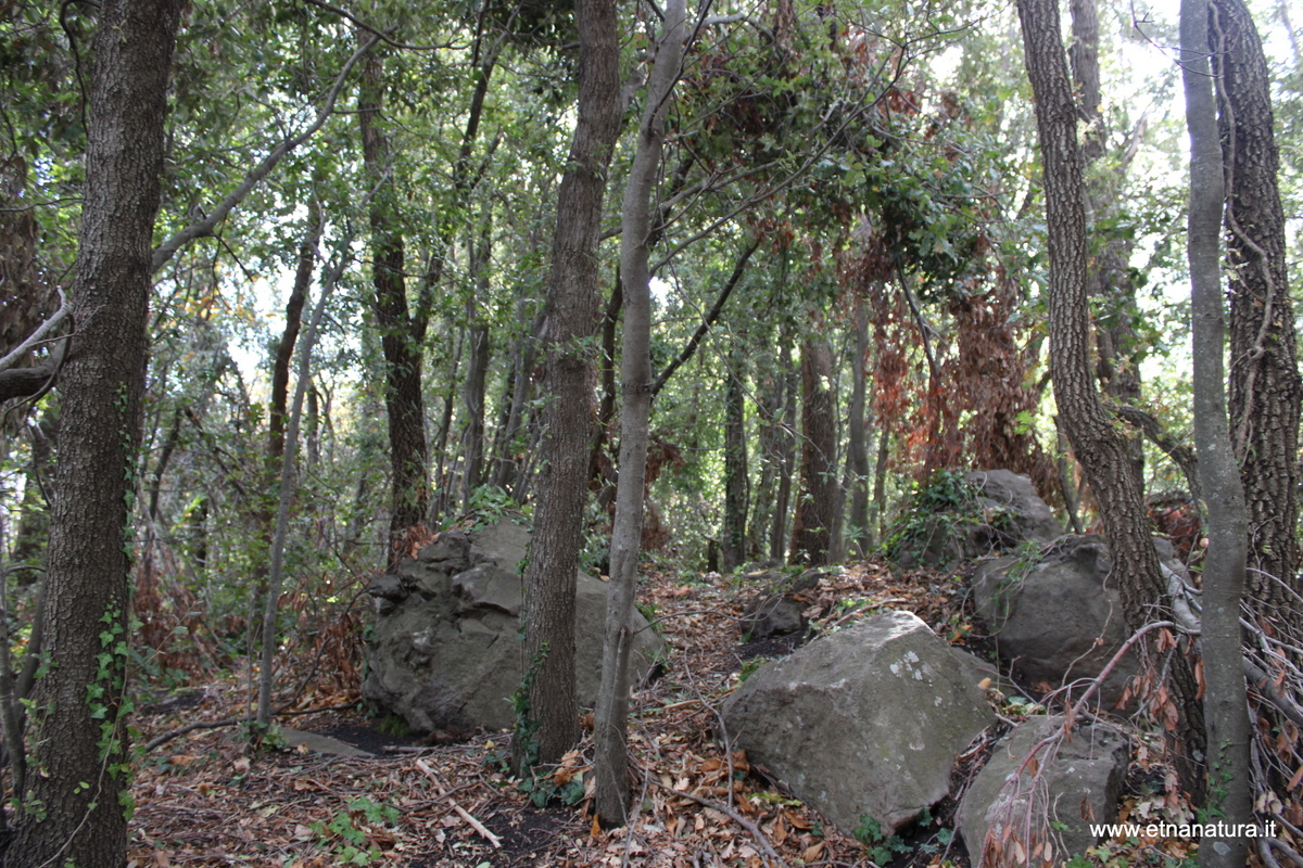 Monte Cicirello-Numero visite:34492