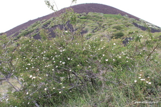 Monte Corvo