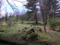 Monte_Crisimo - 201100501%20132.jpg