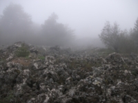 Monte_Crisimo - 201100501%20149.jpg