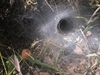 Monte_Crisimo - 201100703%20056.jpg