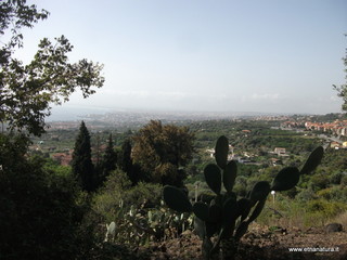 Monte Ferro