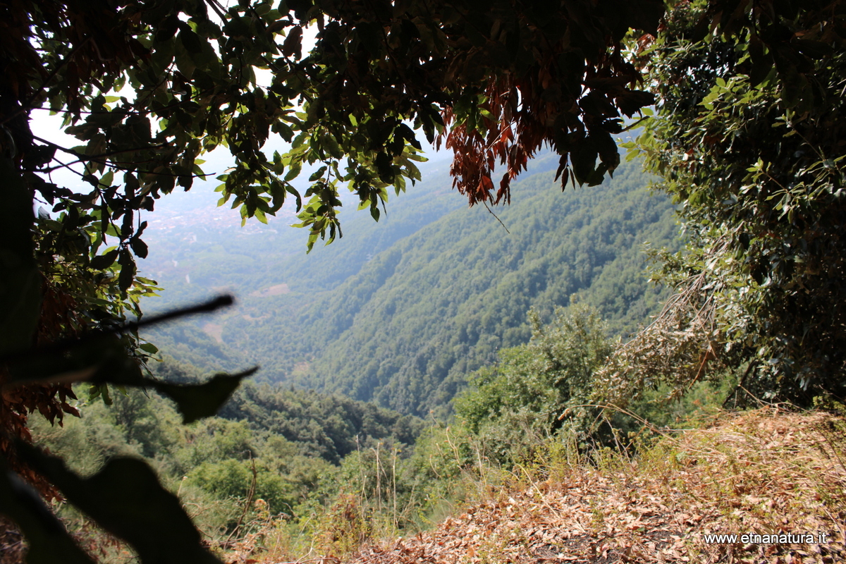 Monte Fior di Cosimo