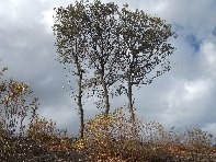 Monte_Fontane - 201011128%20041.jpg