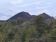 Monte_Gallo_Galvarina - 20100515%20150.jpg