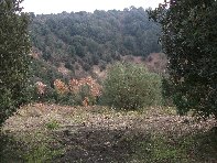 Monte_Ilice - 20110120%20030.jpg