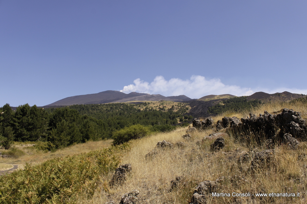 Monte Nero degli Zappini