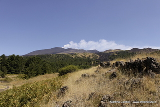 Monte Nero degli Zappini: 37925 visite da Giugno 2018