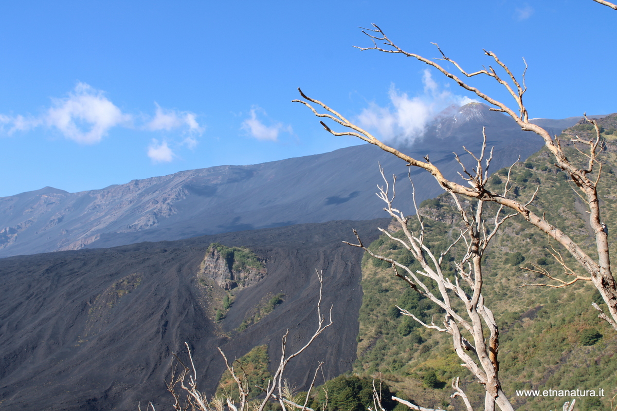 Monte Rinatu