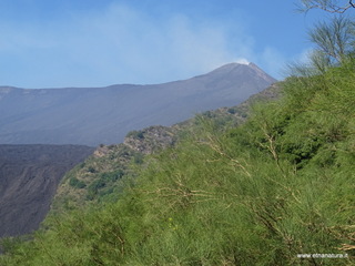 Monte Rinatu
