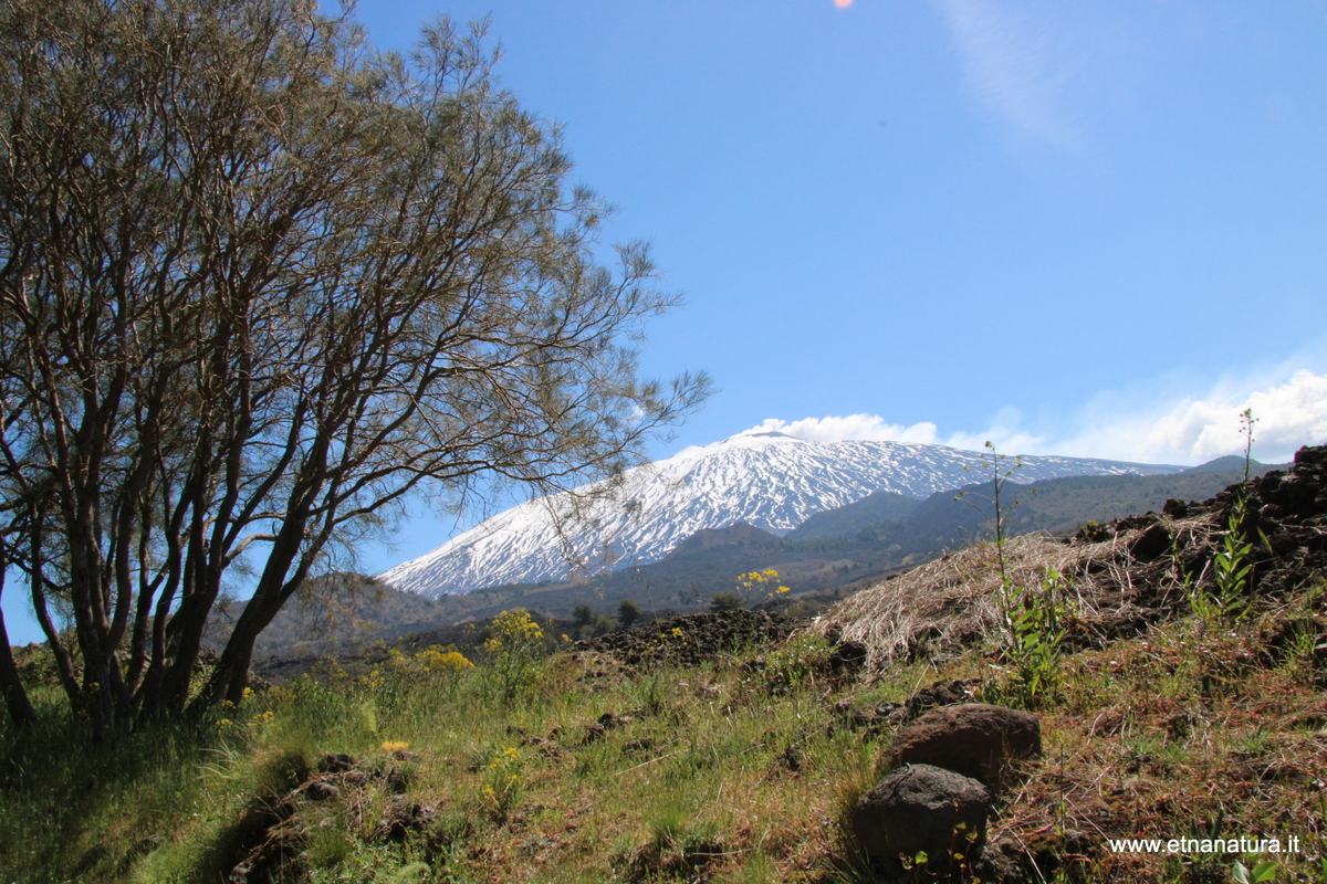 Monte Ruvolo