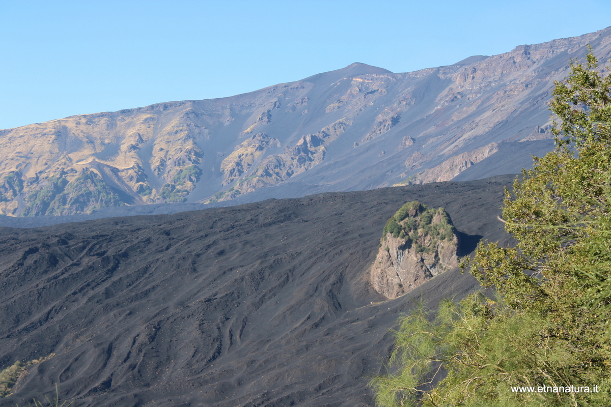 Monte Scorsone-Numero visite:600